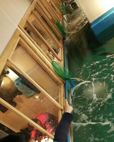 201503021425209711205