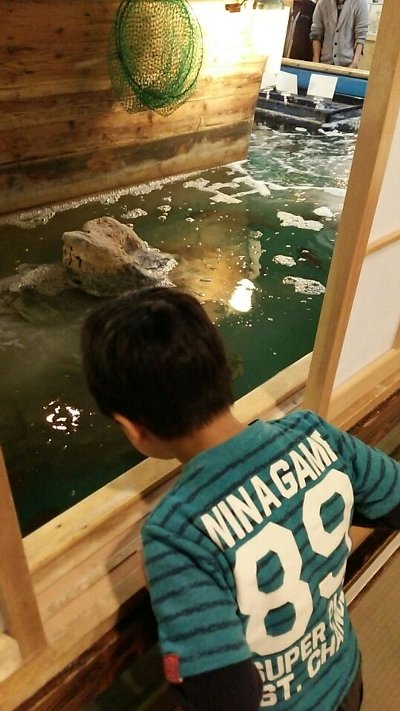 201503021425209729031