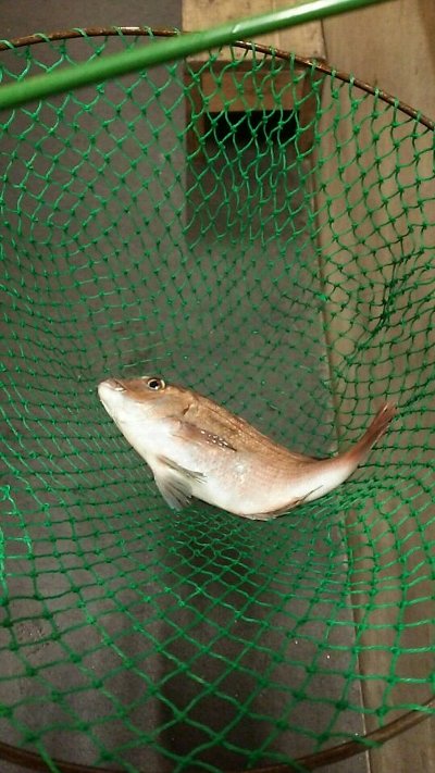 201503021425209922857