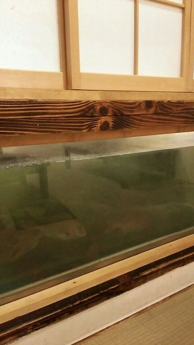 201503021425210010238