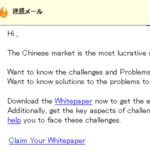 ENTERING THE CHINESE MARKET CHALLENGES AND SOLUTIONS