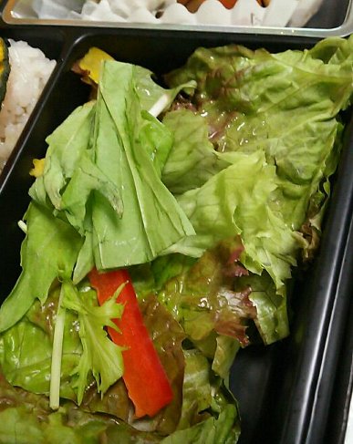 【新宿】からいや弁当が美味過ぎて教えたくない【宅配弁当】