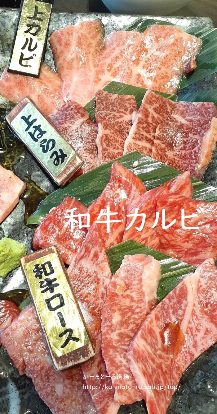 和牛焼肉凱旋門ウニクス南古谷店が美味すぎて破産した