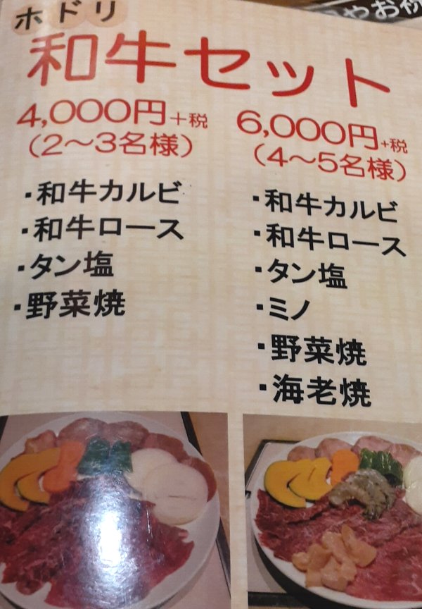 【一人焼肉大歓迎店】焼肉ホドリ【早稲田駅徒歩0分】