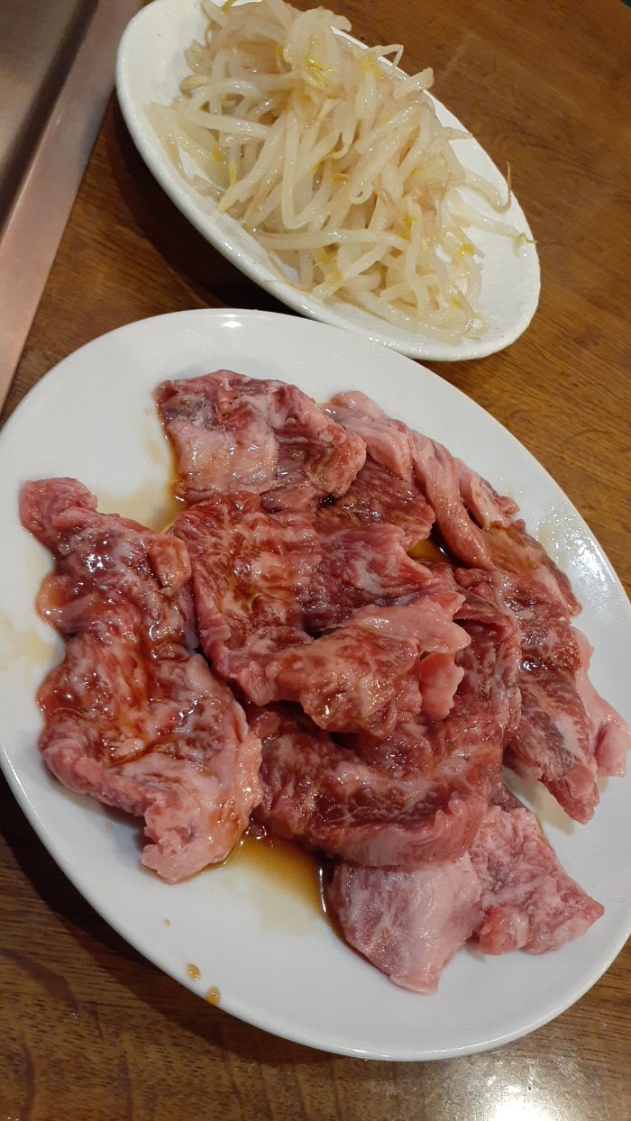 【一人焼肉大歓迎店】焼肉ホドリ【早稲田駅徒歩0分】