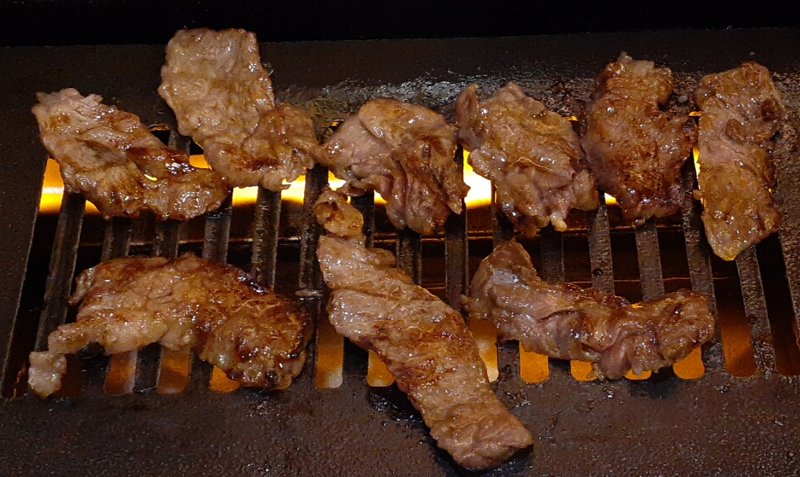 【一人焼肉大歓迎店】焼肉ホドリ【早稲田駅徒歩0分】