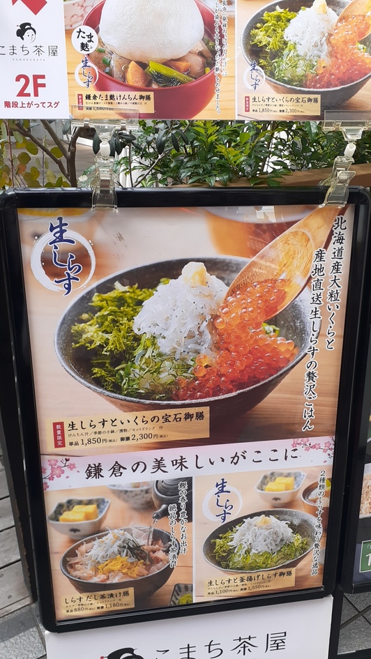 鎌倉は「しらす丼」ではなく「とんかつ」だった【鎌倉かつ亭 あら珠 総本店】