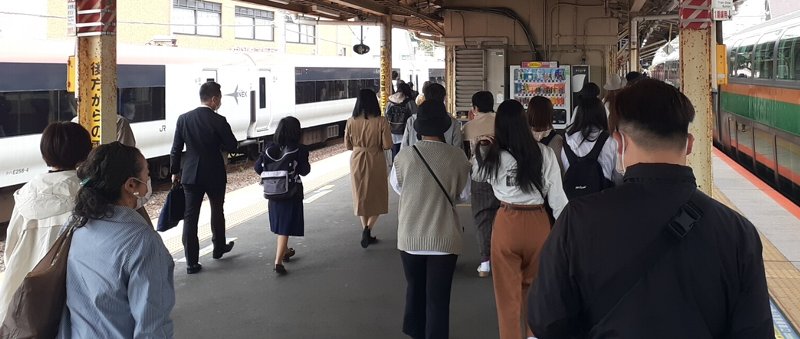 鎌倉は「しらす丼」ではなく「とんかつ」だった【鎌倉かつ亭 あら珠 総本店】