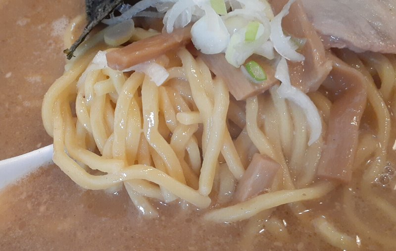 【阿佐ヶ谷】北海道ラーメン 味丸 モチモチたまご麺