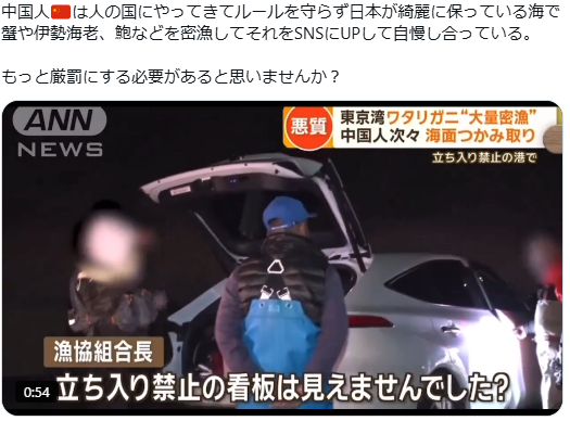 日本に外国人が多すぎる中道と自民党ヤバい公明党、移民問題への不安