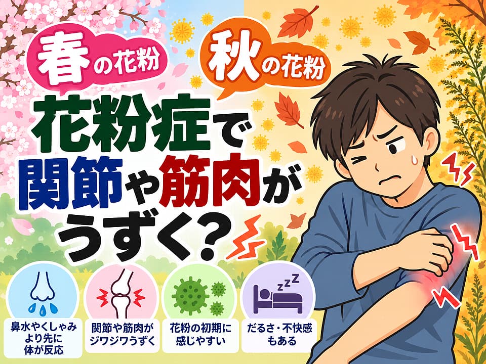 春と秋の花粉症で関節や筋肉がうずく症状を表現したイラスト。肘の違和感に悩む男性と、桜や紅葉、飛散する花粉を描き、鼻水やくしゃみ以外の花粉症症状を紹介するブログのサムネイル画像。